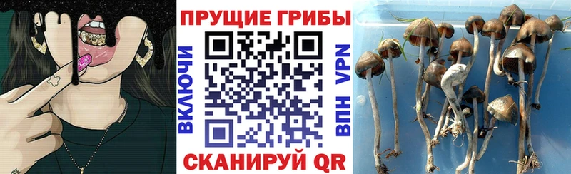 Галлюциногенные грибы Magic Shrooms  Грозный 