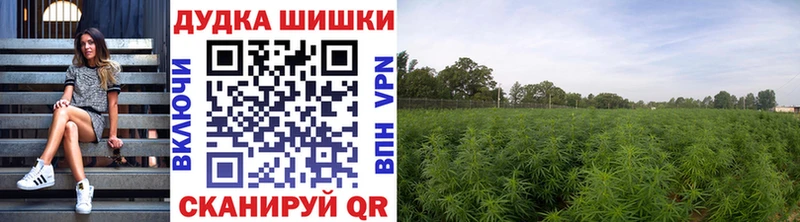 Каннабис ГИДРОПОН  хочу   Грозный 